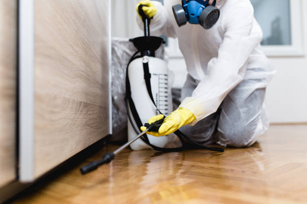 Best Cockroach Control Services  in Munford, TN