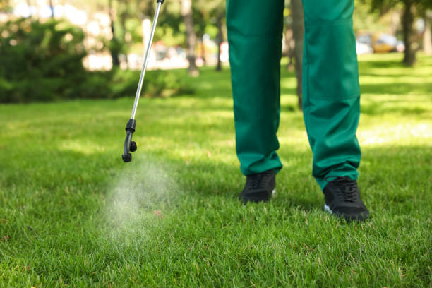Reliable Munford, TN Pest Control Solutions