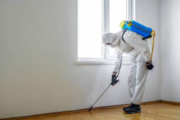 Best Termite Control Services  in Munford, TN