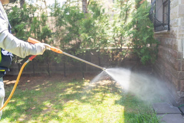 Insect Control in Munford, TN