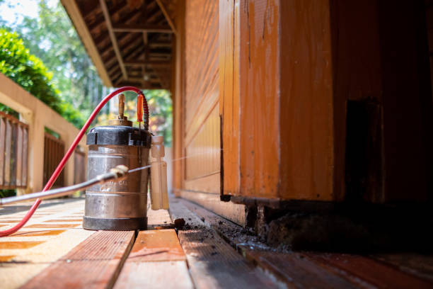 Best Insect Control  in Munford, TN