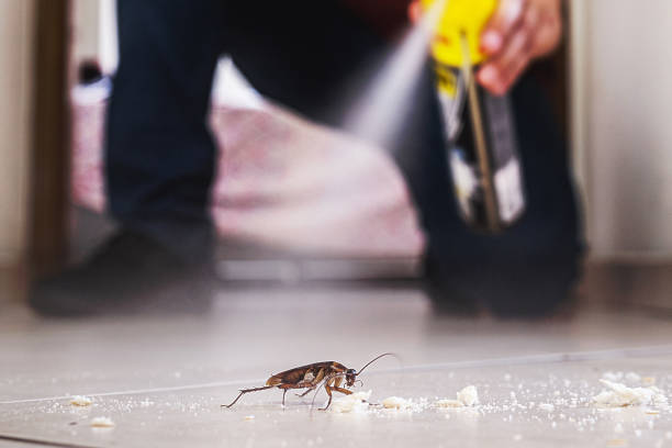 Pest Control for Restaurants in Munford, TN