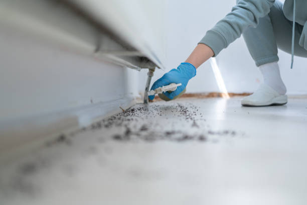 Best Mosquito Control Services  in Munford, TN